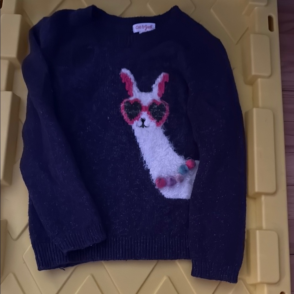 Cute Navy Sweater with Llama Design